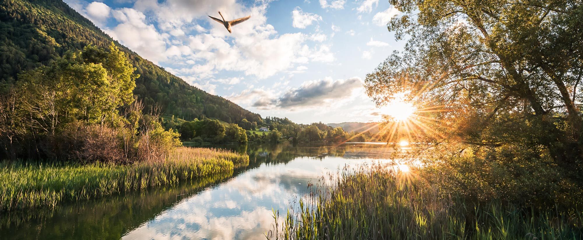 Panorama vom Großen Alpsee bei Immenstadt